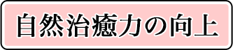 自然治癒力の向上