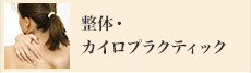 整体・カイロプラクティックコース