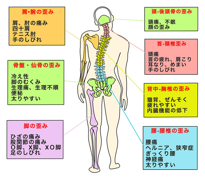 全身の画像